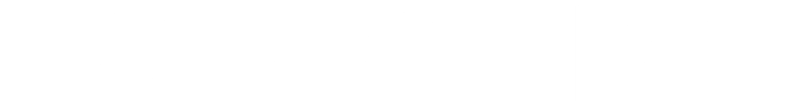 WikiBlackheads logo white